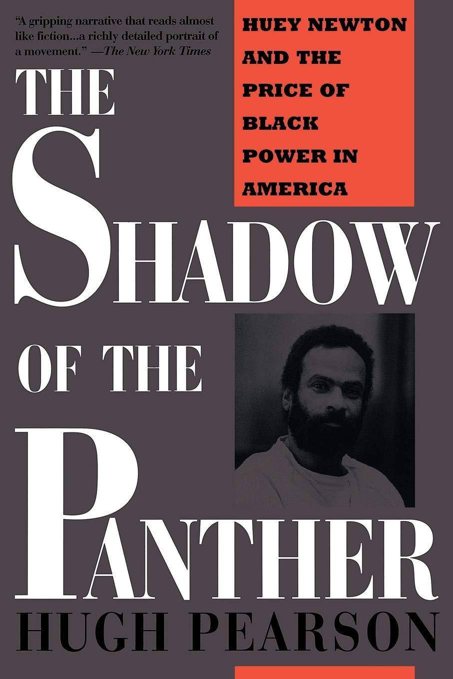The Shadow Of The Panther - SureShot Books Publishing LLC