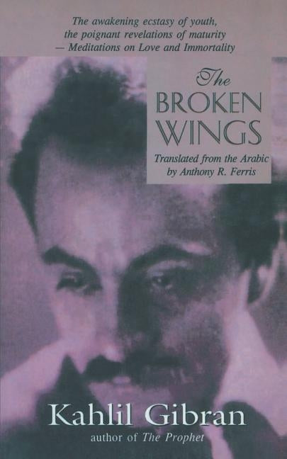 The Broken Wings Paperback Srishti Publishers