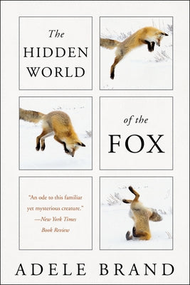 Paperback of The Hidden World of the Fox by Mariner Books, showing the book cover with fox imagery and title.