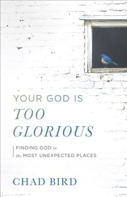 Your God Is Too Glorious by Bird, Chad