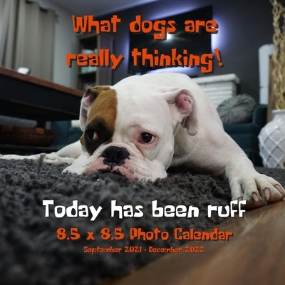 What Dogs Are Really Thinking! 8.5 X 8.5 Calendar September 2021 -December 2022: Today Has Been Ruff - Humorous Dog Calendar - Funny Dog Gift for Dog by Book Press, Dazzle