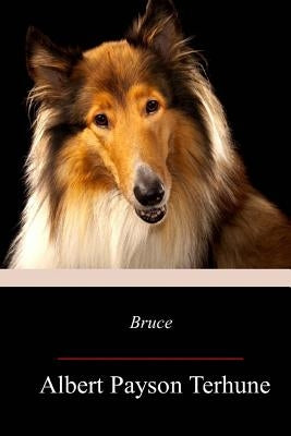 Bruce Paperback Createspace Independent Publishing Platform