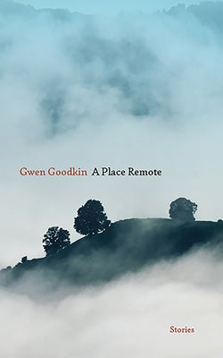 A Place Remote: Stories by Goodkin, Gwen