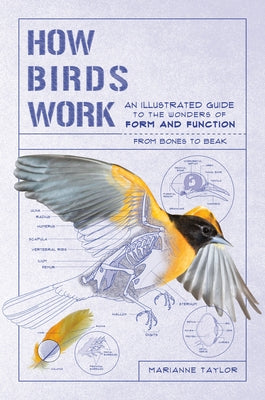 How Birds Work: An Illustrated Guide to the Wonders of Form and Function--From Bones to Beak by Taylor, Marianne