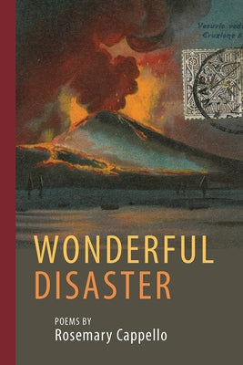 Wonderful Disaster Paperback Bordighera Press