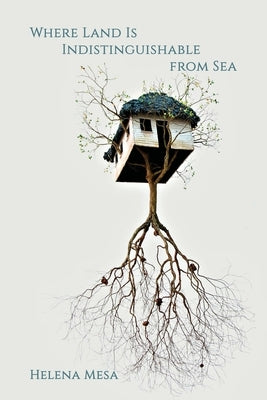 Where Land Is Indistinguishable from Sea Paperback Terrapin Books
