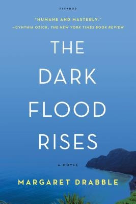 The Dark Flood Rises Paperback Picador USA