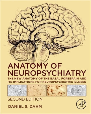 Anatomy of Neuropsychiatry: The New Anatomy of the Basal Forebrain and Its Implications for Neuropsychiatric Illness by Zahm, Daniel S.