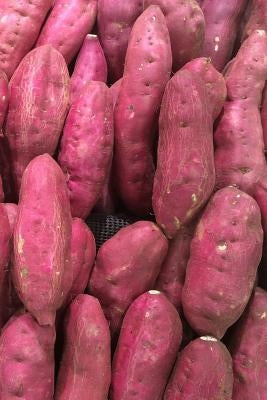 Sweet Potatoes: The Sweet Potato Is a Dicotyledonous Plant That Belongs to the Bindweed or Morning Glory Family, Convolvulaceae. Its L Paperback Independently Published