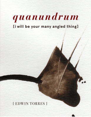 Quanundrum: [I Will Be Your Many Angled Thing] Paperback Roof Books