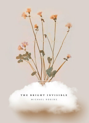 The Bright Invisible Paperback Saturnalia Books