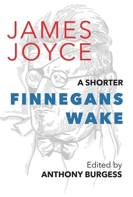 A Shorter Finnegans Wake Paperback Galileo Publishers