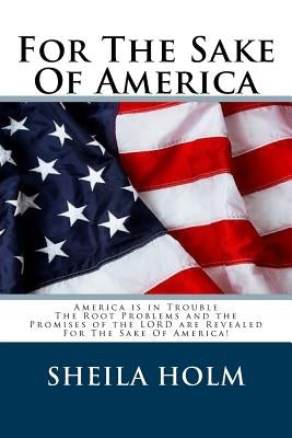 For The Sake Of America Paperback Createspace Independent Publishing Platform