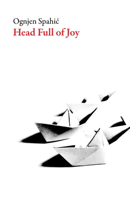 Head Full of Joy Paperback Dalkey Archive Press