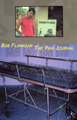 The Pain Journal by Flanagan, Bob