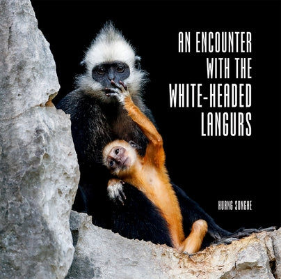 An Encounter with the White-Headed Langurs by Huang, Songhe