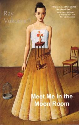 Meet Me in the Moon Room: Stories Paperback Small Beer Press