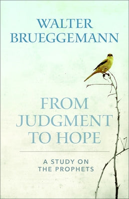 From Judgment to Hope: A Study on the Prophets Paperback Westminster John Knox Press