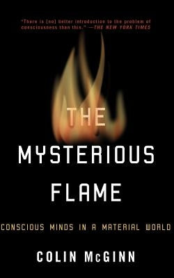 The Mysterious Flame: Conscious Minds in a Material World Paperback Basic Books