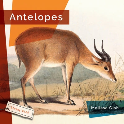 Antelopes by Gish, Melissa