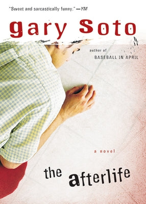 The Afterlife Paperback Clarion Books