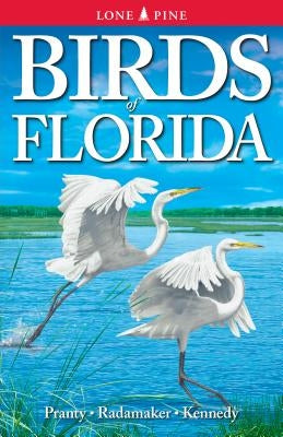 Birds of Florida Lone Pine International