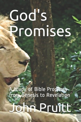 God's Promises: A Study of Bible Prophesy from Genesis to Revelation Paperback Independently Published