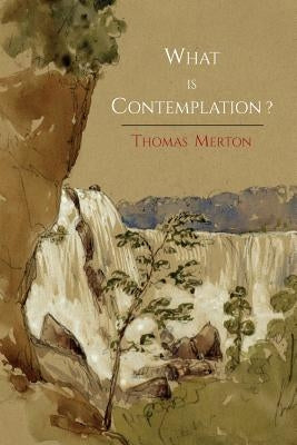 What Is Contemplation? Paperback Martino Fine Books