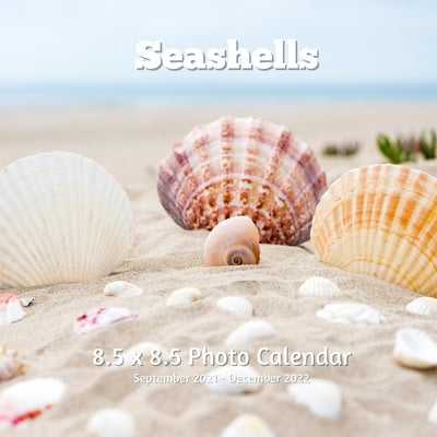 Seashells 8.5 X 8.5 Calendar September 2021 -December 2022: Monthly Calendar with U.S./UK/ Canadian/Christian/Jewish/Muslim Holidays-Beach Professiona by Book Press, Lynne