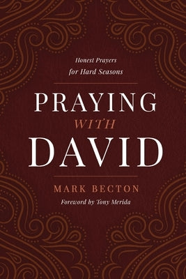 Praying with David: Honest Prayers for Hard Seasons Paperback Ambassador International