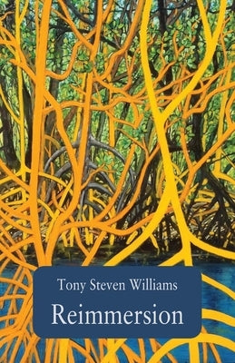 Reimmersion Paperback Ginninderra Press