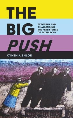The Big Push: Exposing and Challenging the Persistence of Patriarchy Paperback University of California Press