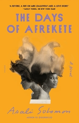 The Days of Afrekete Paperback Picador USA