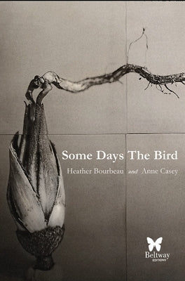 Some Days the Bird by Bourbeau, Heather