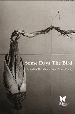 Some Days the Bird Paperback Beltway Editions