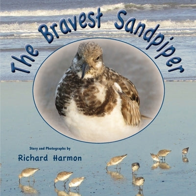 The Bravest Sandpiper by Harmon, Richard