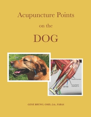 Acupuncture Points on the Dog by Bruno, Gene C.