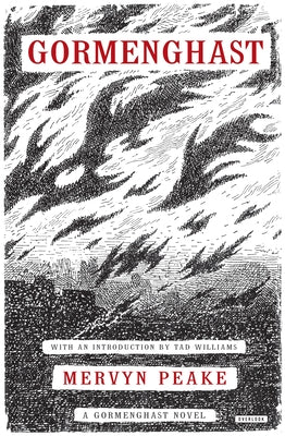 Paperback of Gormenghast novel by Harry N. Abrams, featuring the book's cover art and title on the front.