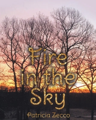 Fire in the Sky Paperback Newman Springs