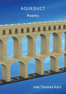 Aqueduct: Poems Paperback Dutch Poet Press