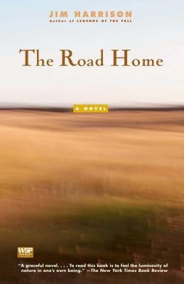 Cover of "The Road Home" novel by Washington Square Press featuring a road and countryside scene.