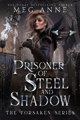 Prisoner of Steel and Shadow Paperback Words That Sparkle