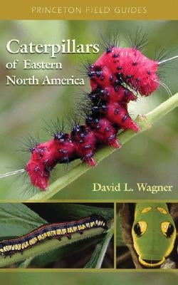 Close-up of various Eastern North American caterpillars from the Princeton University Press field guide, showcasing their colors and patterns.