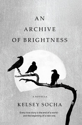 An Archive of Brightness by Socha, Kelsey