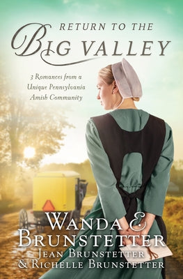 The Return to the Big Valley Paperback Barbour Fiction