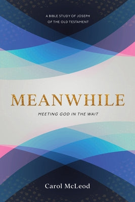 Meanwhile: Meeting God in the Wait: Meeting God in the Wait Paperback Iron Stream