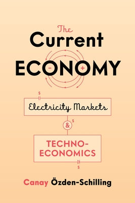 The Current Economy: Electricity Markets and Techno-Economics Paperback Stanford University Press