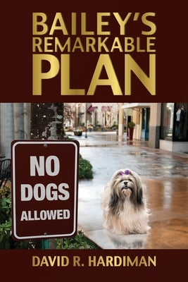 Bailey's Remarkable Plan by Hardiman, David