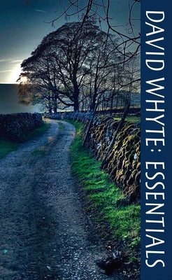 David Whyte Essentials Paperback Many Rivers Press