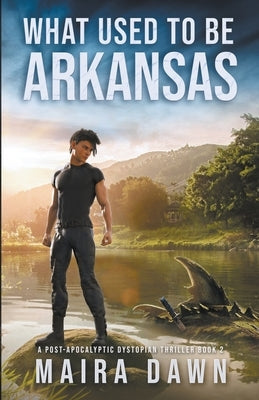 What Used to be Arkansas Paperback Skylan Publishing House
